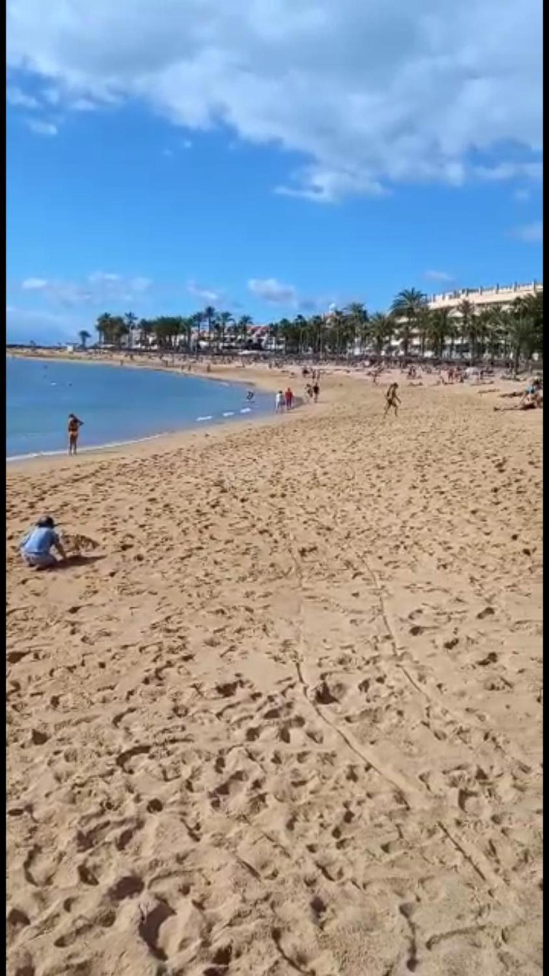Chill Out Tenerife Sud - Monolocale Con Piscina Riscaldata Коста-дель-Силенцио Экстерьер фото